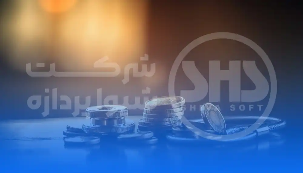 انواع صورت های مالی