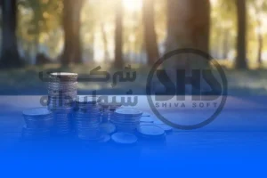 انواع سرمایه در حسابداری